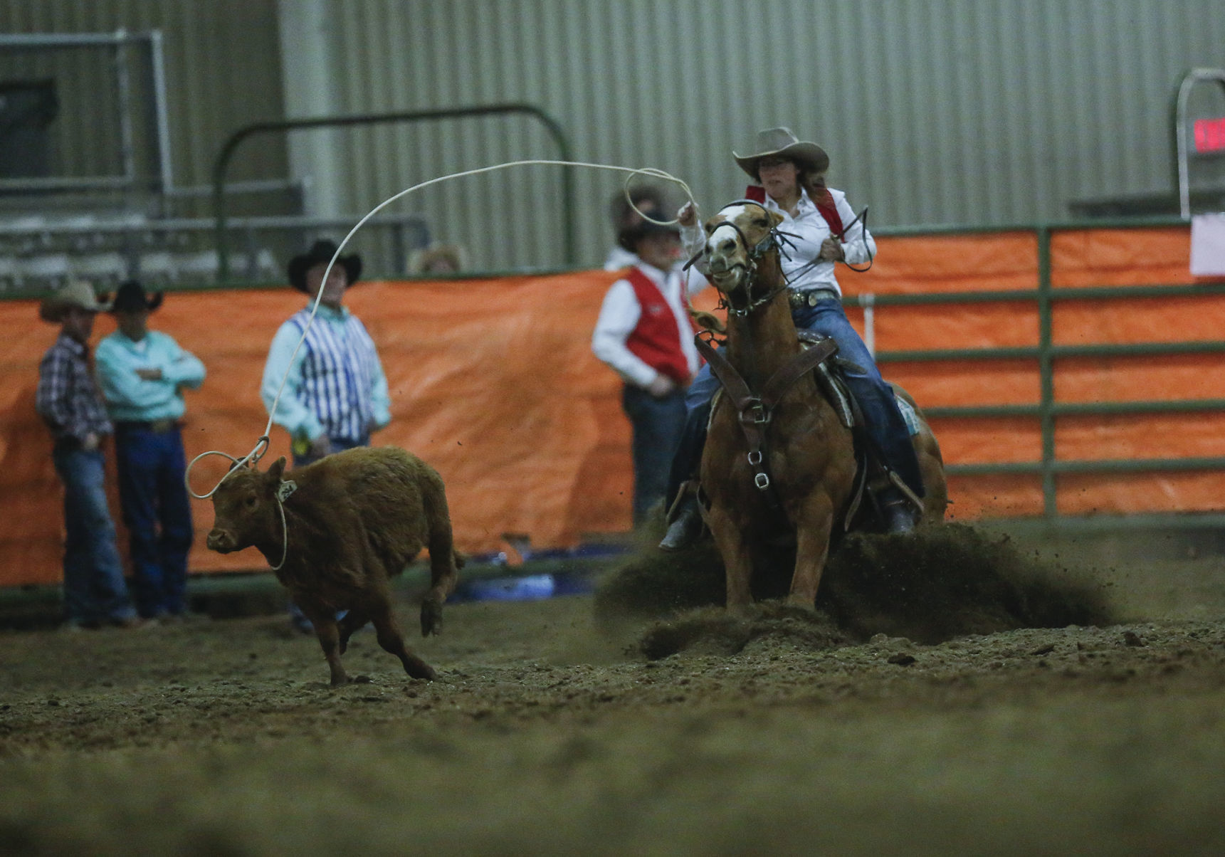 Ropin' and Riggin' Days
